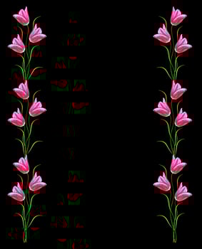 flowers tulips isolated on black background. photo
