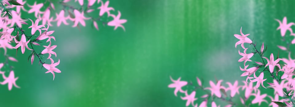 Floral background with bright spring flowers bells photo