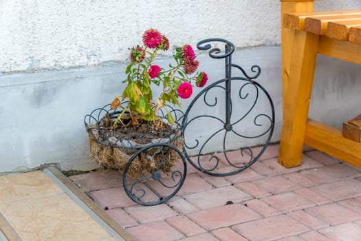 decorative bicycle with flowerbed against tha wall near bench photo