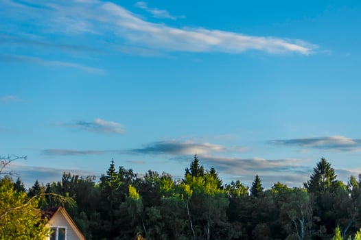roof top on blue sky and green trees background photo