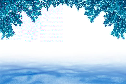 Christmas card with fir branches. photo