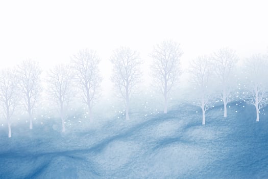 Frozen winter forest. collage of photos of trees and snow.