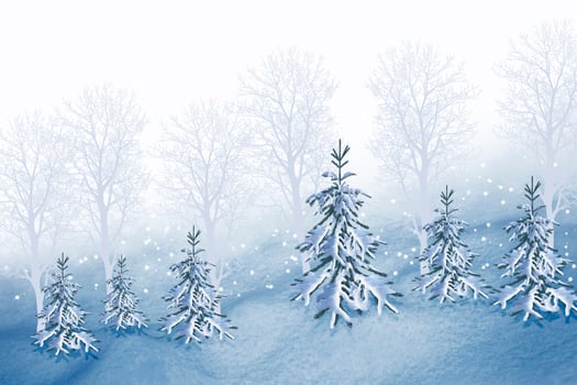 Frozen winter forest. collage of photos of trees and snow.