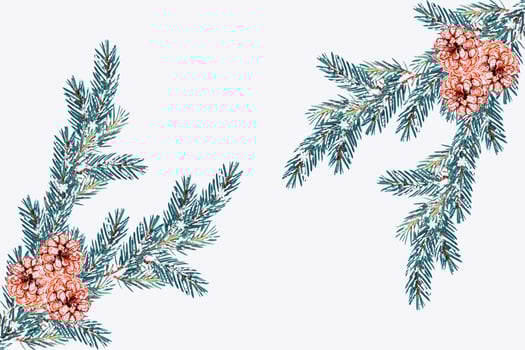The branches of the snow covered tree Christmas tree photo