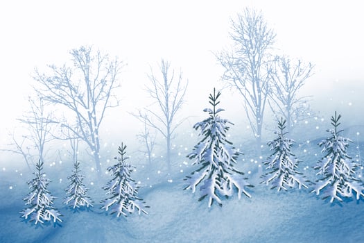 Frozen winter forest. collage of photos of trees and snow.