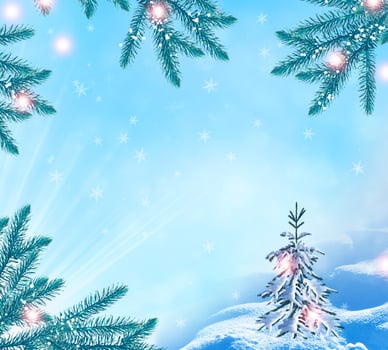 Frozen winter forest with snow covered trees. photo