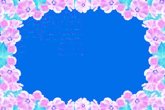 Floral background. Pink petunia flowers isolated on blue background. photo