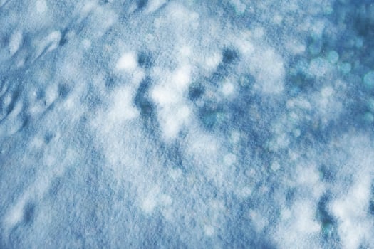 Background. Winter landscape. The texture of the snow photo