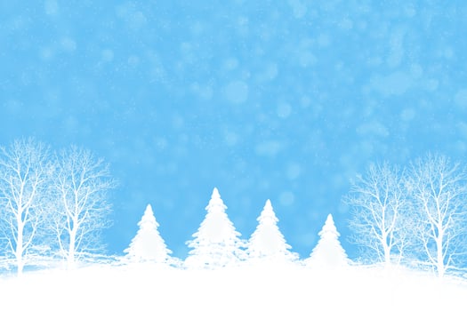 Frozen winter forest with snow covered trees. photo