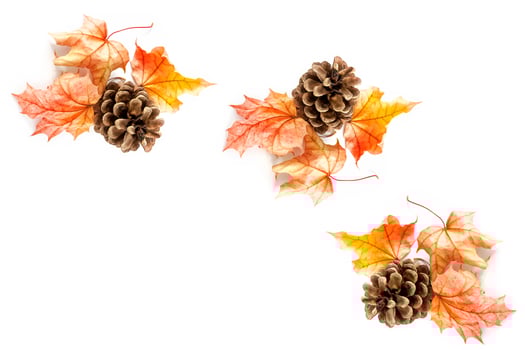 Bright colorful autumn leaves photo