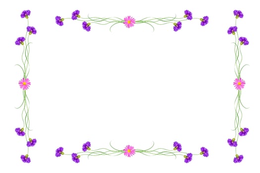 Bright flowers cornflowers isolated on white background. photo