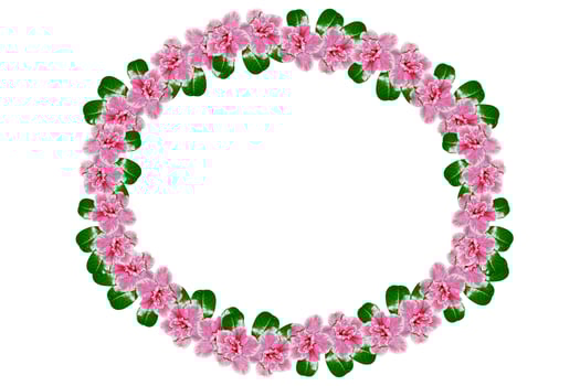 Bright azalea flowers photo