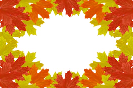 Bright colorful autumn foliage photo