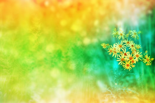 Blurred image of grass. photo