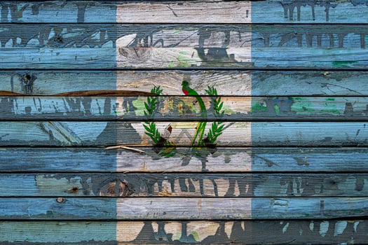 The national flag of Guatemala  is painted on uneven boards. Country symbol. photo