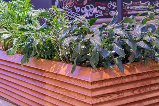 Floral decoration of cafe indoor photo