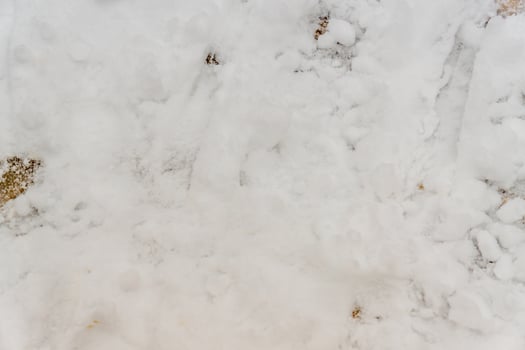 different traces on white snow photo