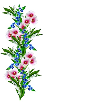 mallow flowers isolated on white background photo
