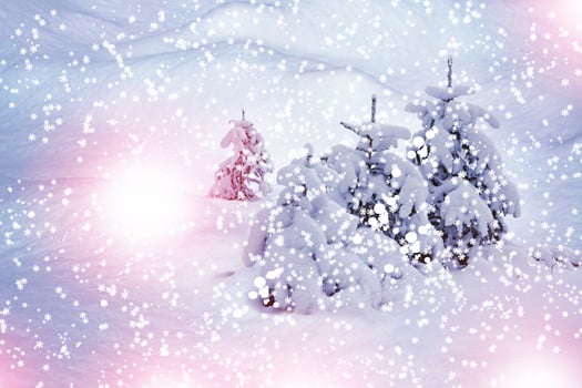 Snowfall in the forest.  winter landscape photo
