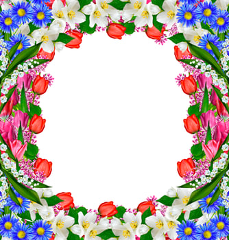 flowers tulips and lilacs. jasmine photo