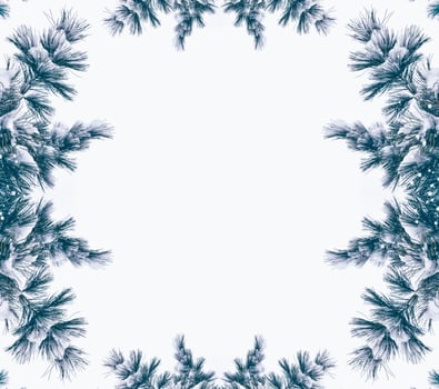 Festive Christmas frame with snowy spruce branches photo