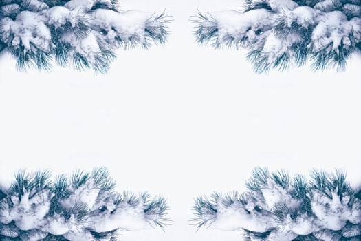 forest in the frost. Winter landscape. Snow covered trees. photo