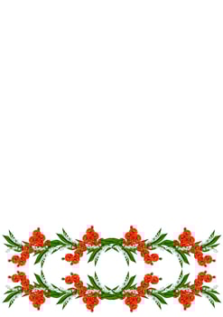 spring flowers isolated on white background photo
