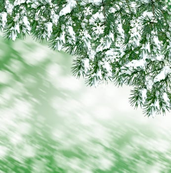 Winter Forest. Winter landscape. photo