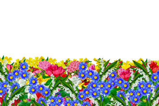 flowers isolated on white background photo