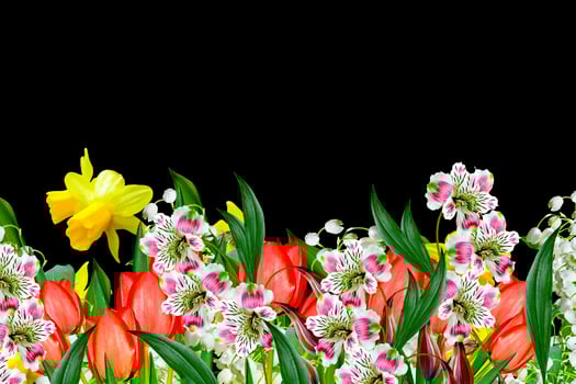 flowers on a black background photo