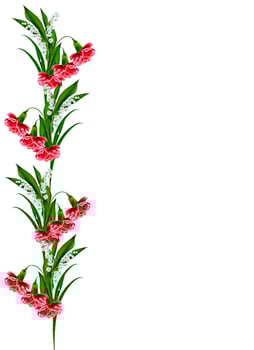 carnation isolated on white background photo
