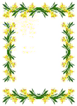Spring flowers daffodils and lilies of the valley isolated on white background photo