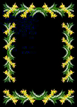 Spring flowers daffodils and lilies of the valley isolated on black background photo