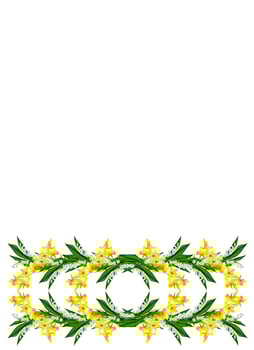 Spring flowers daffodils and lilies of the valley isolated on white background photo