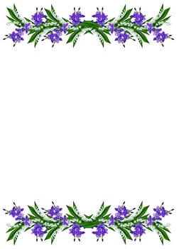Blue iris flower isolated on white background photo