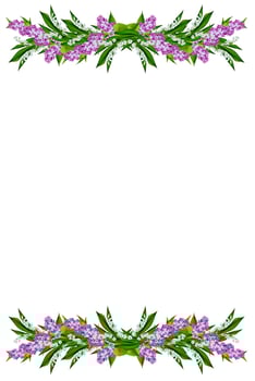 spring flowers lilac  isolated on white background photo