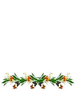 branch of flowers and butterflies isolated on a white background photo