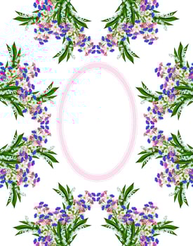 daisies summer white flower isolated on white background photo