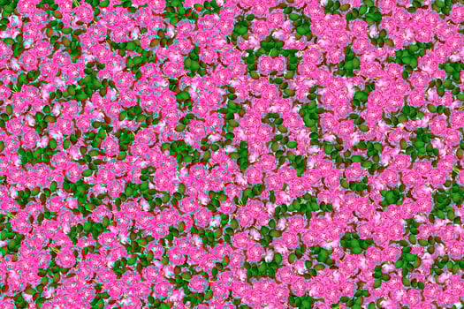 Abstract background of flowers roses photo