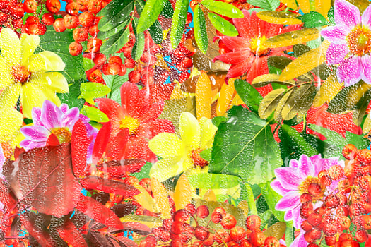 abstract background of autumn leaves photo