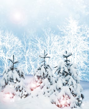 Winter landscape. winter snow. Christmas card. photo