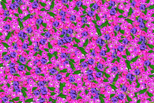 floral background. Nature. photo