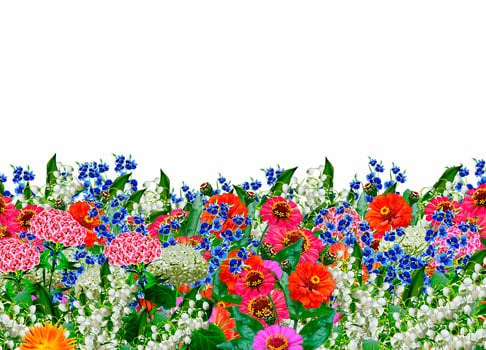floral background. flowers photo