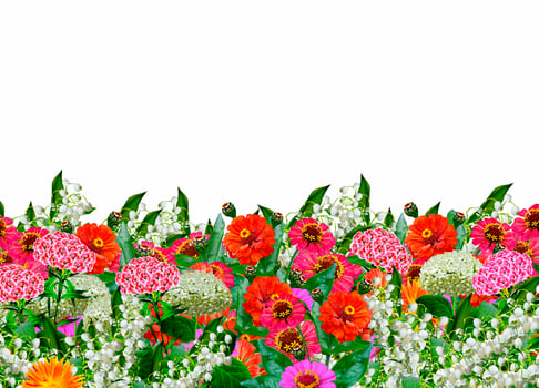 floral background. flowers photo