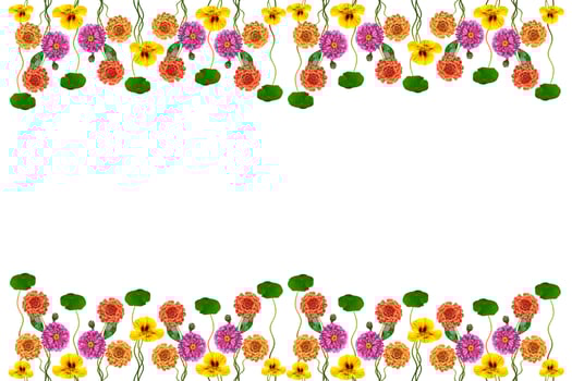Petunias isolated on a white background. Colorful flowers. photo