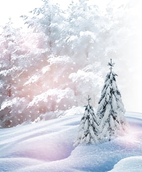 winter snow. Christmas card. photo