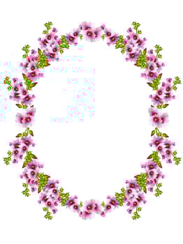 mallow flowers isolated on white background. frame photo