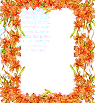 bouquet of lily flowers isolated on white background photo