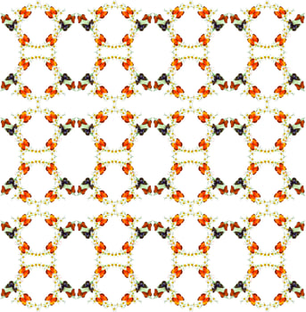 branch of flowers and butterflies isolated on a white background photo