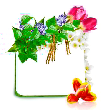 Spring flowers. frame photo